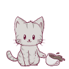 Cute cat with coffee