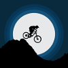 Moonlight ride