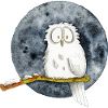 Die Schneeeule