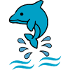 Dolphin dolphin
