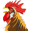 Rooster