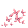Butterflies pink