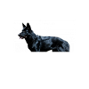 Schwarzer Schäferhund