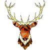 Geometric animal
