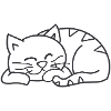 Sleeping cat