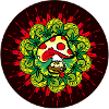 Amanita Muscaria