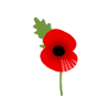 british legion poppy day