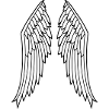 wing