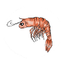 Bad Shrimp