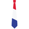 ELEGANT FRANCE TIE