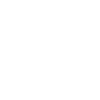 Dolphin Delfin