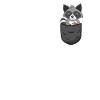 Waschbär Brusttasche