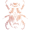 insecte