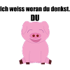 Du Schwein