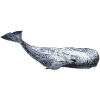 MOBYDICK