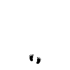 Promu grand frère