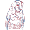 Barn owl