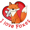 I love foxes