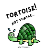 Tortoise not turtle!