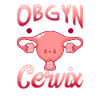 Utérus obstétricien gynécologue médecin OBGYN