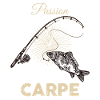 Poisson carpe Pêche