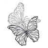 papillon