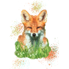 beautiful fox