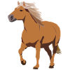 Haflinger horse pony riding