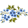 Fleurs