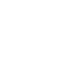 HORSE WILD LIFE