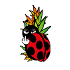Ladybug