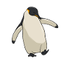 Penguin, penguins, Antarctica, conservation