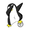 Volleyball Pinguin Dapping