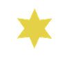 Six Point Gold Star