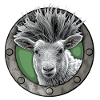 Punkschaf