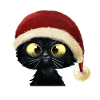 Chaton de Noël doux