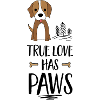Hund