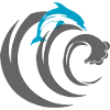Dolphin Delfin