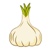 garlic