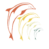 Dolphins
