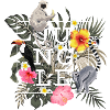 Jungle lemur