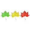Feuilles vertes, jaunes et rouges