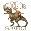 I'm the big cousin gift