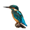 Kingfisher bird design polygonal art