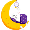 cat moon