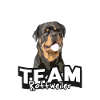 Rottweiler team
