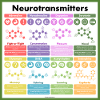 Neurotransmittor affisch