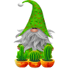 Gnome Garden Cactus