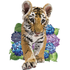 Bengal tiger