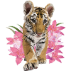 Bengal tiger